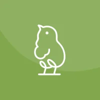 Chicks